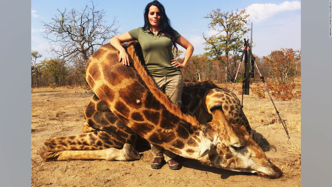 Hunter Sabrina Corgatelli slammed for giraffe photo - CNN Video