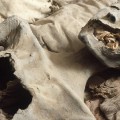 Nefertiti mummy discovery channel documentary