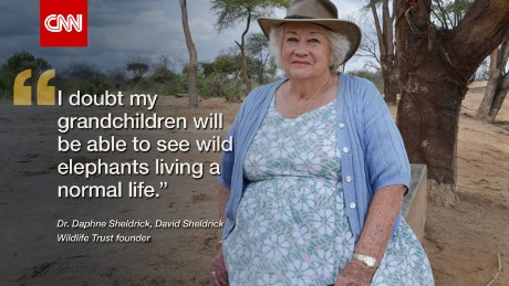 'Mama Elephant': How Daphne Sheldrick changed the fate of elephants worldwide 