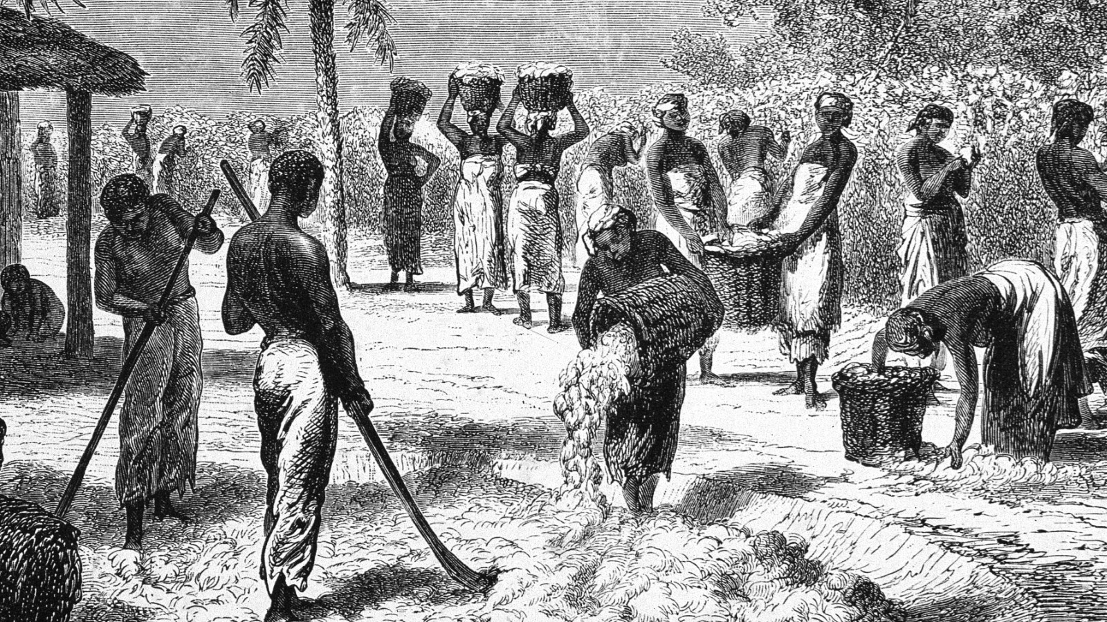 an american slave