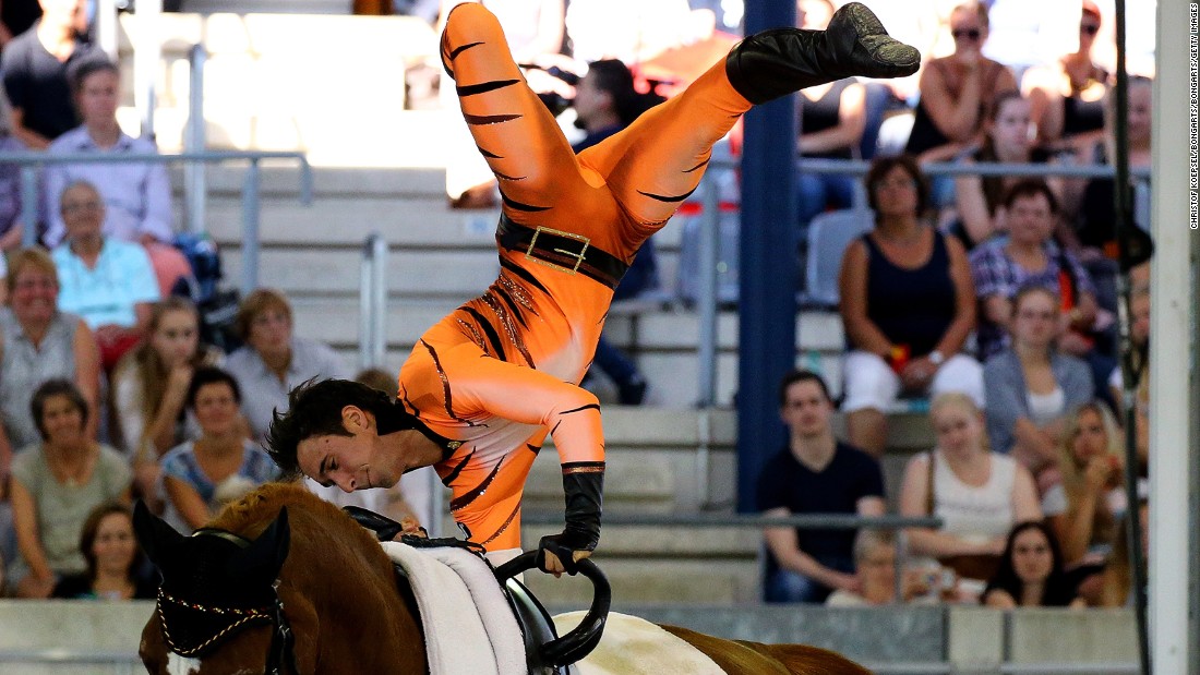 The German took second place behind his brother Viktor in the male vaulting freestyle test at the 2015 FEI European Equestrian Championship.