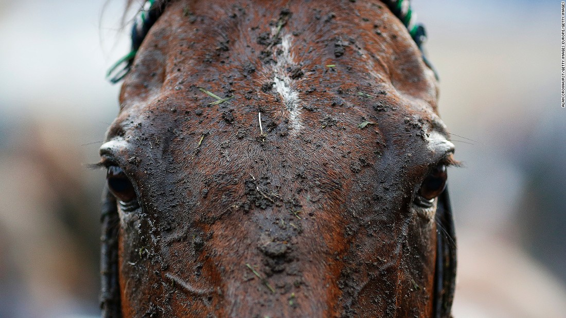 FONTWELL, ENGLAND - AUGUST 25: A muddy day at Fontwell racecourse on August 25, 2015 in Fontwell, England. (Photo by Alan Crowhurst/Getty Images)