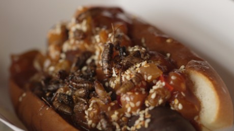 Bugging out: America&#39;s first edible cricket farm