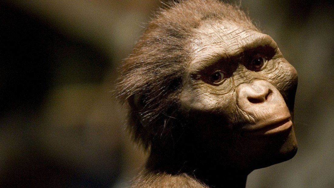 How Did Lucy Our Early Human Ancestor Die Cnn