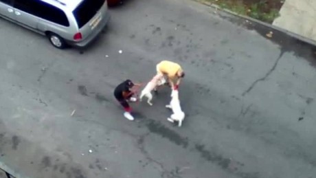 pit attack bulls man york just videos cnn bronx watched kenny