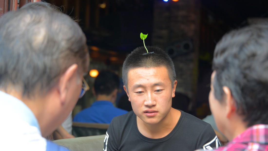 chinese bean sprout hair clip