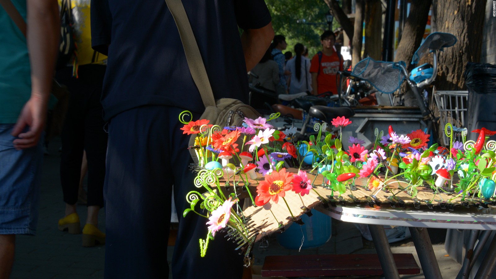 plant hair clips china