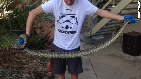 The second nearly 8 foot python snake catcher Elliot Budd removed from a woman&#39;s toilet. 