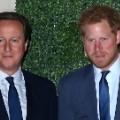 Rugby World Cup David Cameron and Prince Harry