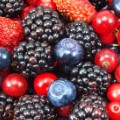 09.popular-fruits.berries