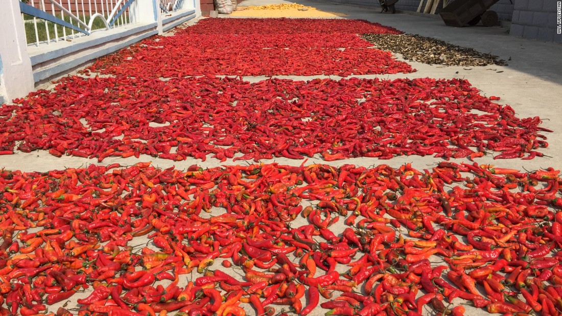 Chili peppers lie in the sun at the Jang Chon farm. Peppers are used for making kimchi, the fermented cabbage dish that is a staple of the North Korean diet.