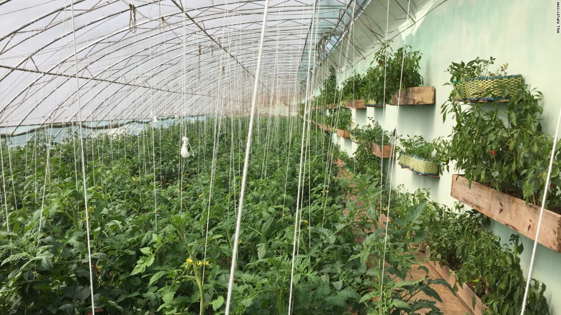 The farm where Kim Myong Jon works is home to one of North Korea&#39;s first greenhouses. It was first visited by Kim Il Sung more than three decades ago, and more recently by his grandson, current leader Kim Jong Un. 