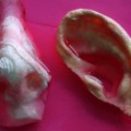 11 cnnphotos growing human body parts RESTRICTED