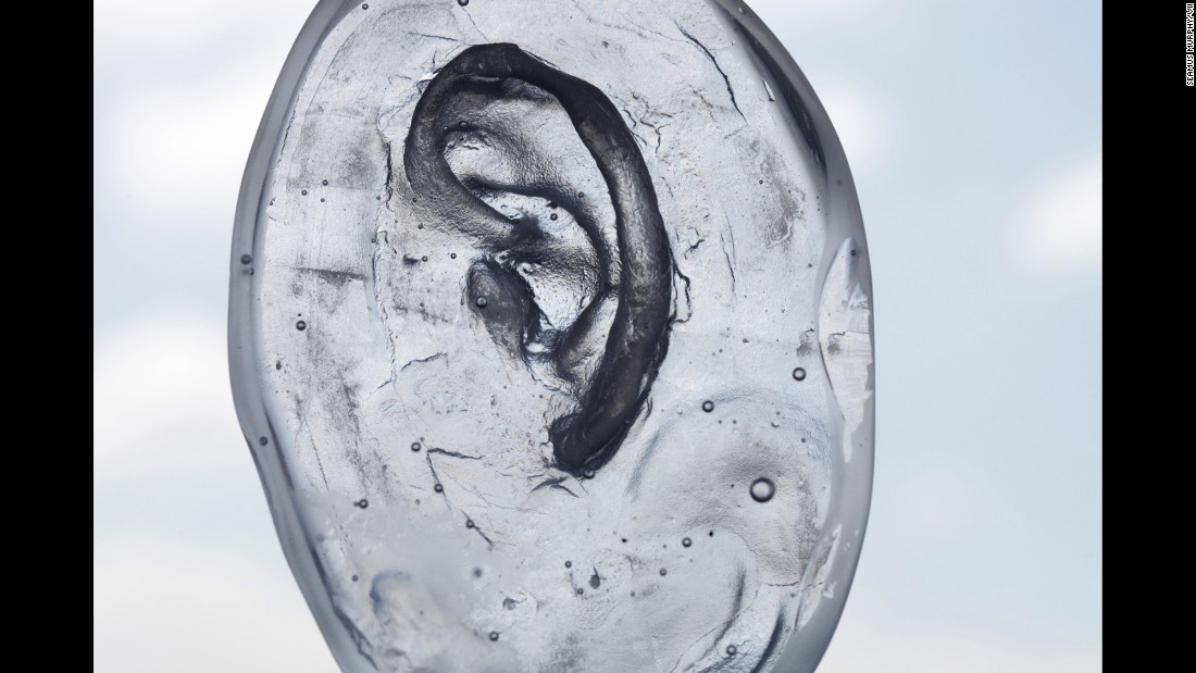 A glass mold of an ear.