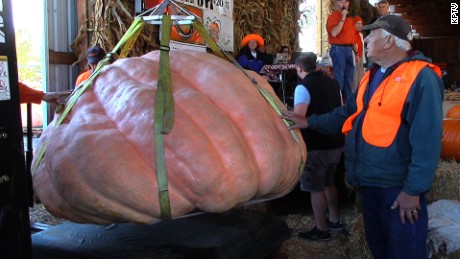 Gervais growers at the Bauman Harvest Festival in Oregon unveil a 1,997-pound pumpkin. 