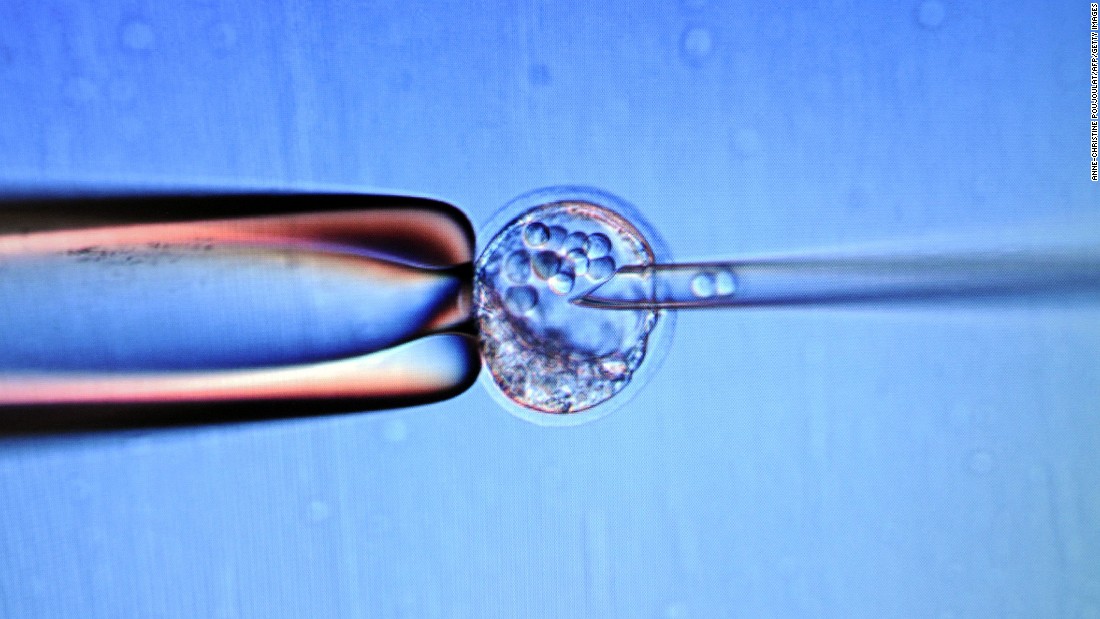 Coffey&#39;s team are developing treatments for AMD based on transplanting new RPE cells, made from human embryonic stem cells (pictured), into patients suffering with AMD. Human embryonic stem cells have unleashed the potential for therapies for a range of diseases as well as AMD, including ALS, Alzheimer&#39;s, and some cancers. 