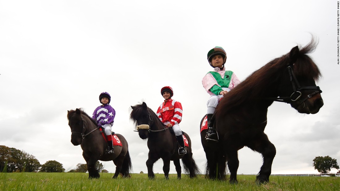 Located in East Sussex in southern England, Plumpton racecourse recently hosted the Shetland Pony Gold Cup.