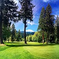 Golf Initiative Oregon
