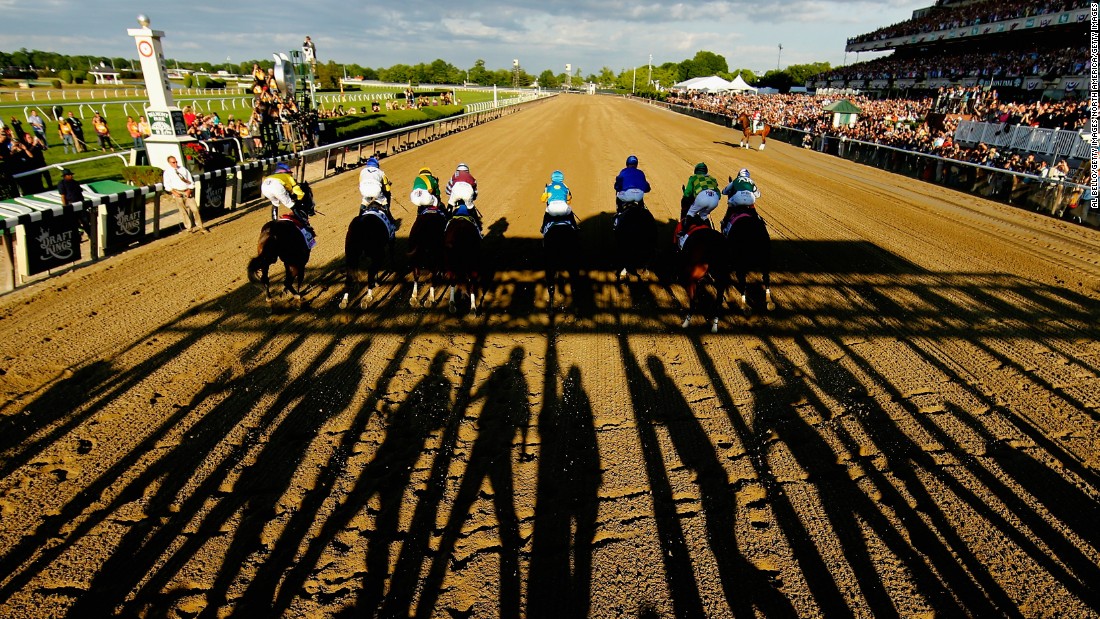 JUNE 06 2015: The stakes couldn&#39;t be higher for American Pharoah as the gates open to start the Belmont Stakes in Elmont, New York.