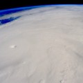 hurricane patricia scott kelly