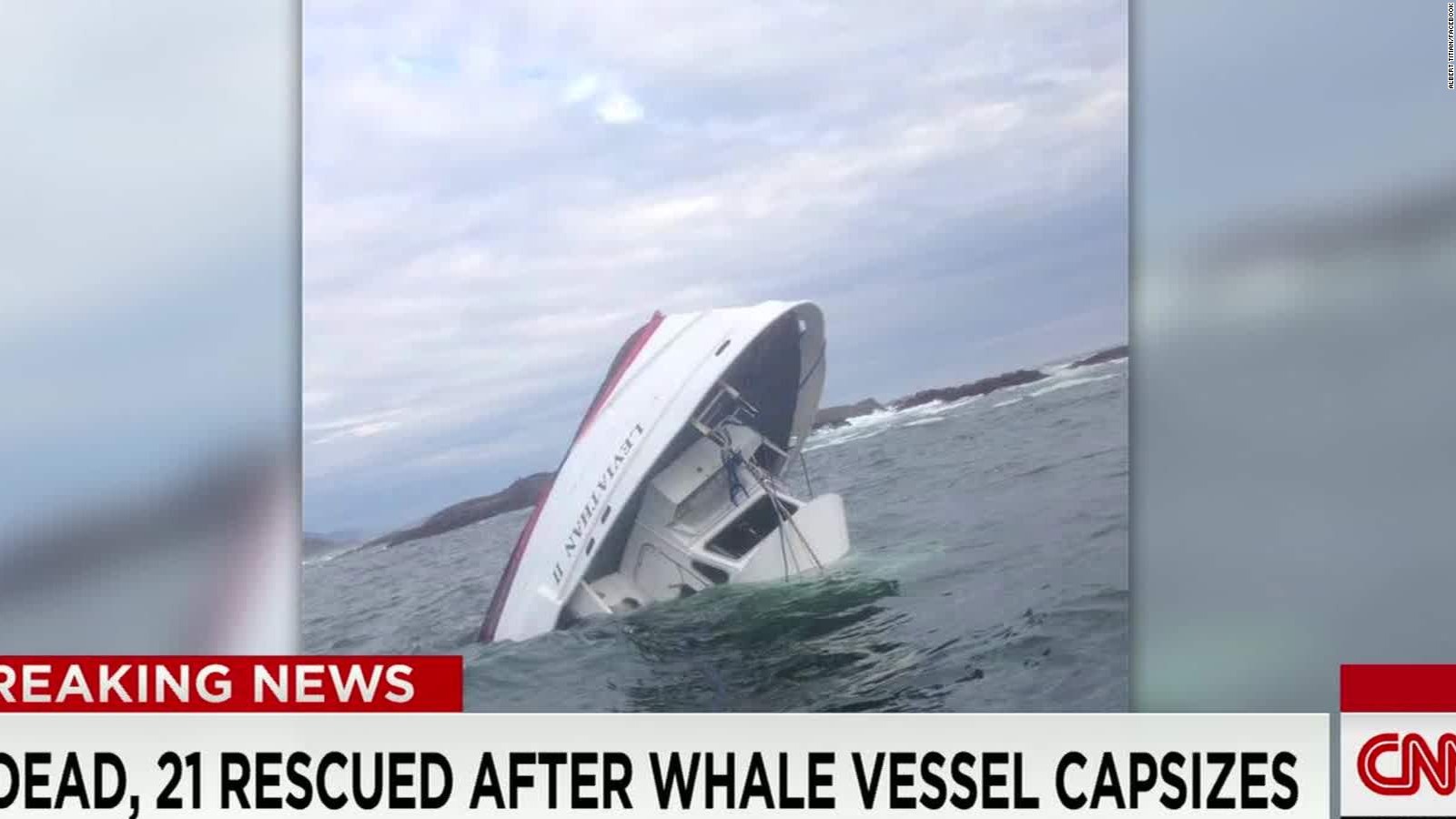 5 dead as whale-watching boat sinks off British Columbia - CNN