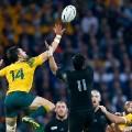 Rugby WC final (5) 