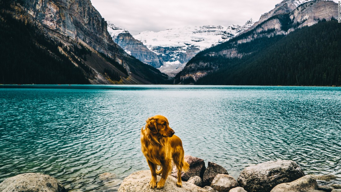 The four-year-old golden retriever is the star of these images, shot by his owner Hunter Lawrence. The professional photographer says he had always promised he would never put a photo of Aspen on Instagram.
