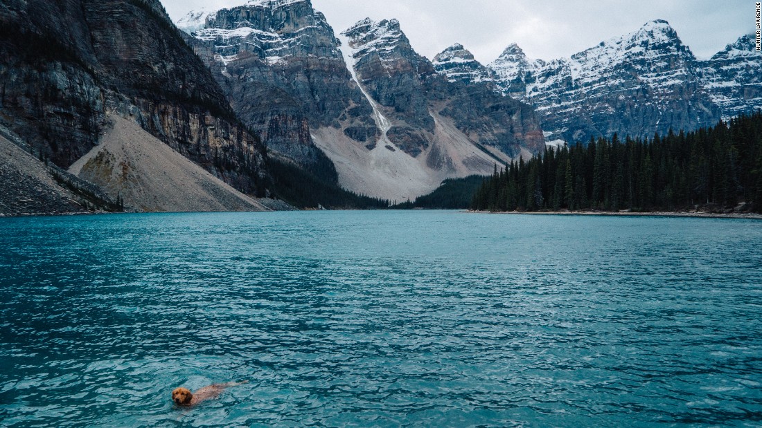 Aspen is never one to shy away from a dip in the water. He recently went to Lake Louise in Alberta, Canada, where this shot was taken.