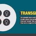 gender sexuality transgender
