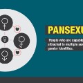 gender sexuality pansexual 3