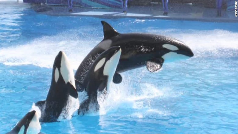 SeaWorld says &#39;So long, Shamu&#39;