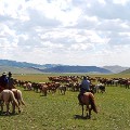 Mongolia - 20150726_152421