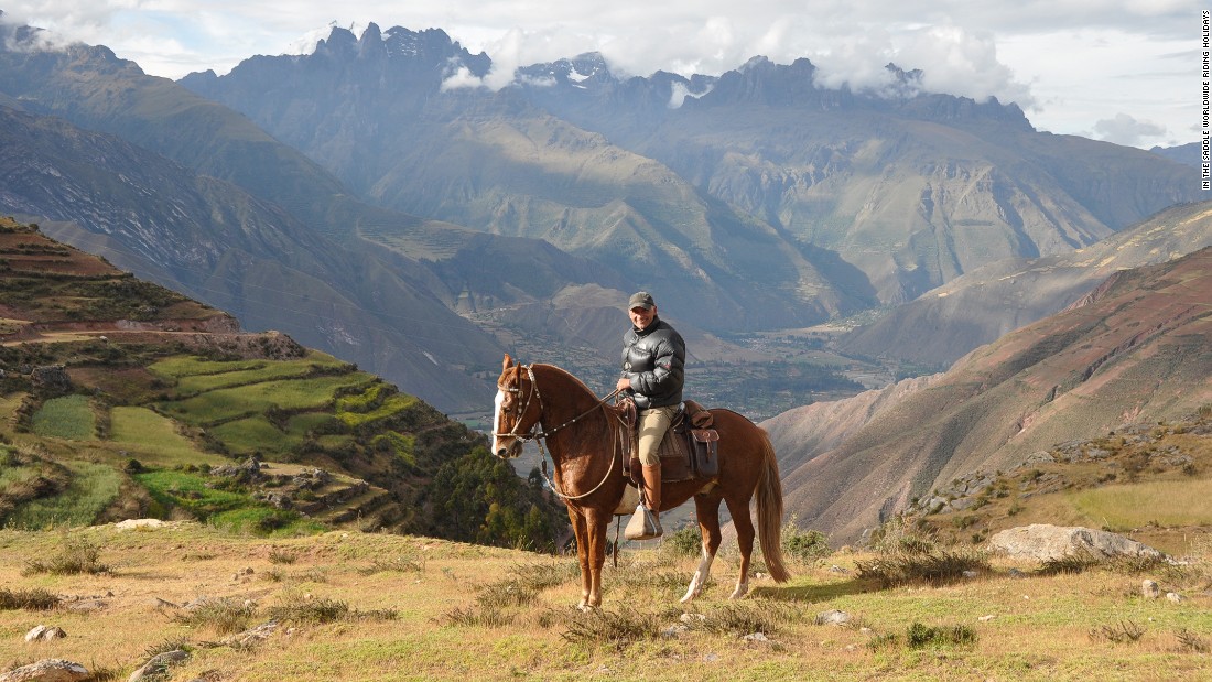 &quot;People call the Peruvian Paso the Rolls Royce of horses,&quot; says Sales. 