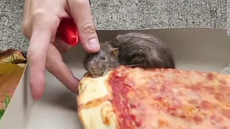 A New Pizza Rat Takes The Streets Of New York Cnn Video