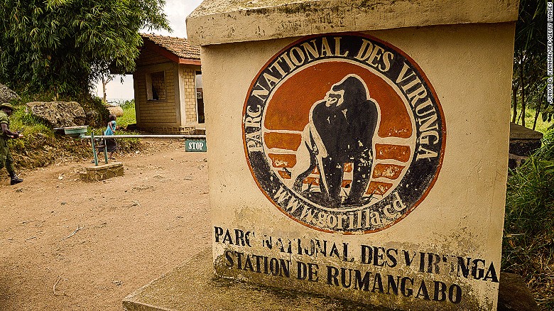Oil permits up for auction in Congo’s Virunga park, putting endangered gorillas at risk