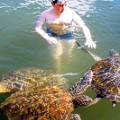 Oz swimming with Green-turtles-1