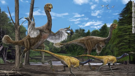 China&#39;s dinosaur discoveries 