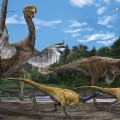 gigantoraptor artist reconstruction