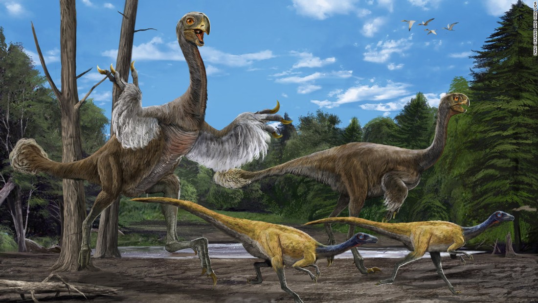 In 2005, paleotologist Xu Xing and a group Chinese paleontologists &lt;a href=&quot;http://www.nature.com/news/2007/070611/full/news070611-9.html&quot; target=&quot;_blank&quot;&gt;excavated the bones of this giant bird-like dinosaur&lt;/a&gt;. It&#39;s believed to be 8 meters long and weigh 1.4 tons. Its arms were long and legs were bird-like. 