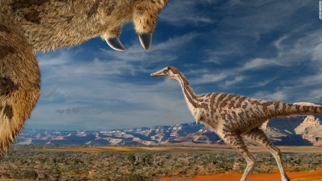 This parrot-sized species of dinosaur had only finger. It was discovered in Inner Mongolia and named after the city of Linhe. 