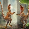 Sinosauropteryx