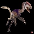 China dinosaur guanlong 