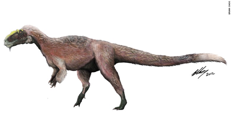 large feathered dinosaur