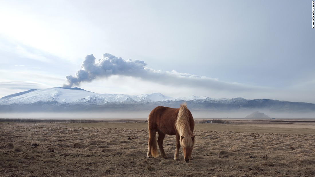 For Guðleifsdóttir, the beauty of the land that the Icelandic horse naturally inhabits is just as important for her photos as the subjects themselves. &quot;I like to capture them like they&#39;re wild as it&#39;s really important for me as a photographer to help capture just how appealing Iceland really is as I&#39;m so proud of it,&quot; she says. 