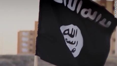 American ISIS member pleads guilty to supporting terror group