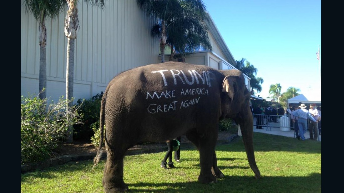 donald-trump-campaign-stop-features-actual-elephant-cnn-politics