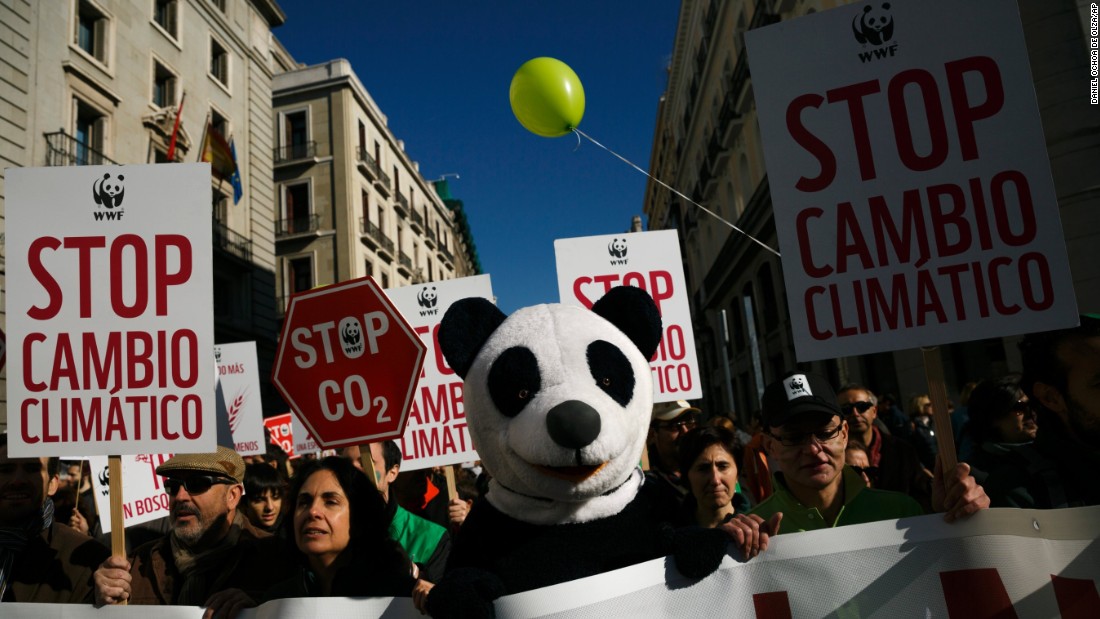 A protester dressed as a panda bear marches with others holding banners reading &quot;stop climate change&quot; through the streets of central Madrid, Spain.