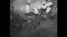 San José Wreckage Discovered Off Colombia Coast With $17 Billion In ...