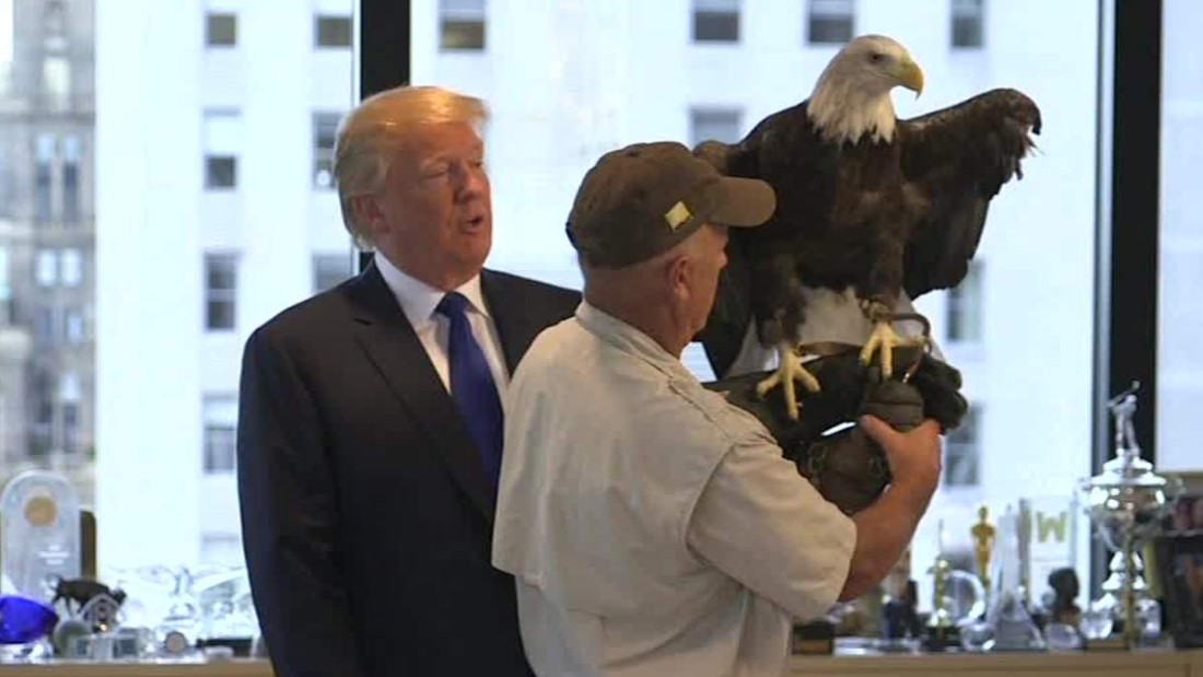 The eagle that ruffled Donald Trump's feathers - CNN Video