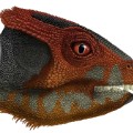 China new dinosaur fossils rendering